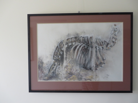 Framed drawing of an animal's skeleton