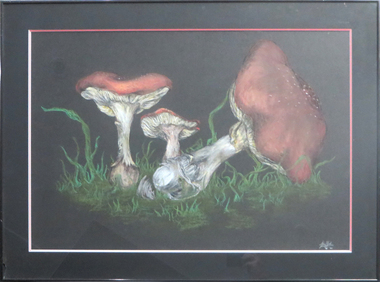 Drawing - Artwork - Drawing, Trisha Beck, [Mushrooms] by Trisha Beck, 1990