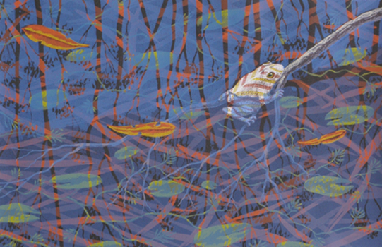 Underwater scene