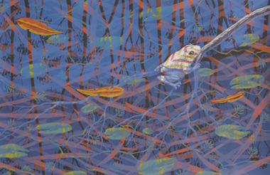 Underwater scene