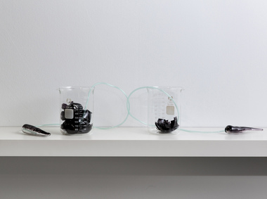 Sculpture - Artwork, 'The More Bones the  Better' by Yhonnie Scarce, 2016