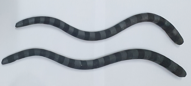 Two blackware stick forms