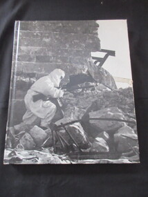 Book, John Shaw, World War 11 - Red Army Resurgent, 1979