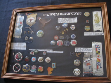Badge - Framed badges, Specialty (sic) Days