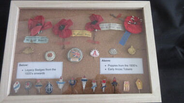 Memorabilia, Framed display of badges and poppies