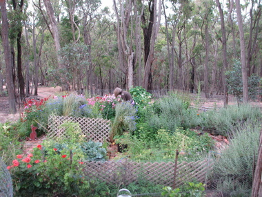 Some transpiration beds are used as Kitchen Gardens  and are enclosed to keep animals out