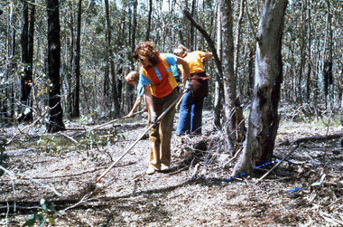 Land management involves careful planning in all activities carried out on the land. Careful raking before burning can protect significant trees, bushes or orchids as well as providing a fire break