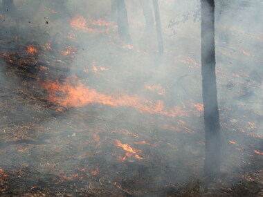 A well-controlled burn - the planning was good and the weather conditions were right