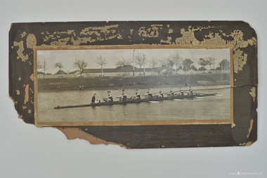Photograph, Albert Park Rowing Club Champion Eight, 1915