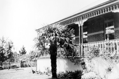 Photograph, 3 Beatty Street, Mont Albert