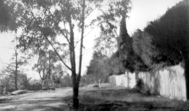 Photograph, Beatty Street, Mont Albert