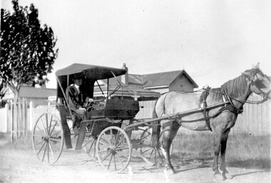 Photograph, Albert Hill, horse and jinker,10 Pembroke Street, Surrey Hills