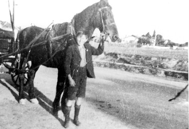 Photograph, Albert Cunnington with horse and cart