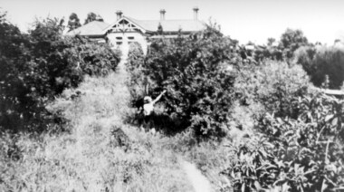 Photograph, 3 Beatty Street, Mont Albert