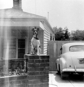Photograph, 55 Sunbury Crescent, Surrey Hills - Home of Fred Lyons and his family