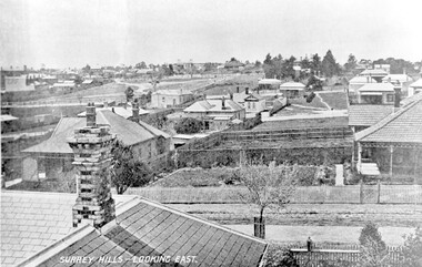 Photograph, Surrey Hills - Looking East from Essex Road, circa 1900, c1900