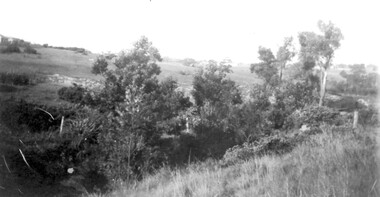 Photograph, View from Goodwood Street, Surrey Hills in 1930, 1930
