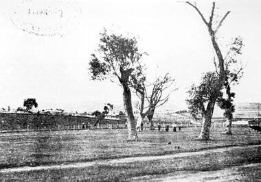Photograph, Surrey Hills Golf Club - looking towards Doncaster, 1902