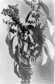 Photograph, Golden Wattle: Flower arrangement used for J K Blogg carving