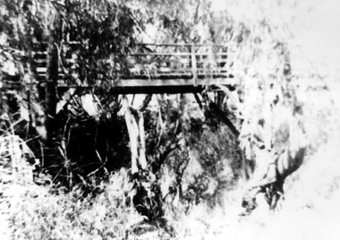 Photograph, Footbridge across Back Creek, 1980, 1980