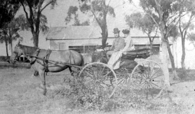 Photograph, 'Hillsboro' or "Hillsborough' - 6a Thistle Street, Surrey Hills, pre-1890