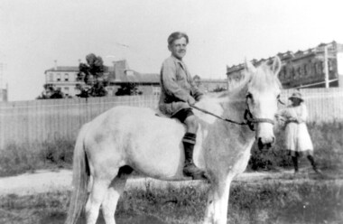 Photograph, Bill Willaton on one of Tacey's butcher's shop delivery horses, c 1920, 1920