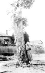 Photograph, Everton Grove, Surrey Hills c 1925, 1925