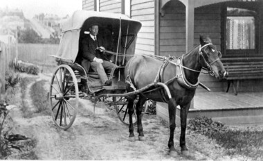 Photograph, Horse and buggy at 44 Guildford Road Surrey Hills, 1913