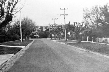 Photograph, Streetscape near the corner of Victoria Crescent and Hotham Street, Surrey Hills