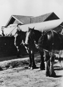 Photograph, 213 Union Road, Surrey Hills c1930, 1930