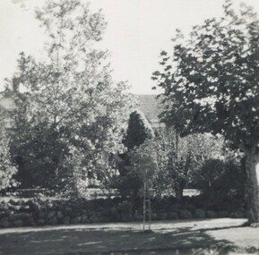 Photograph, 11 York Street, Mont Albert, 1974 (1), 1974