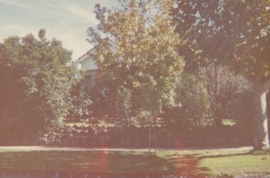 Photograph, 11 York Street, Mont Albert,  May 1974 (2), 1974