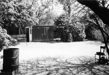 Digital photo, George L Coop, Back yard of 686 Whitehorse Road, Mont Albert c 1953, c1953