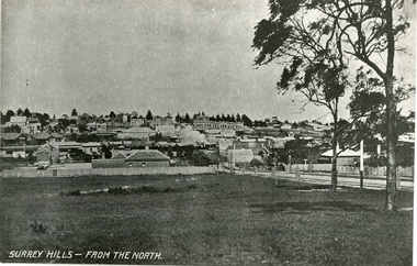 Photograph, Surrey Hills from north of Montrose Street 1907-1911