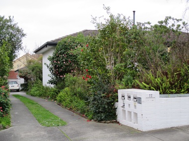 Photograph - 11 Blackburn Street, Surrey Hills, The Street Where You Live Project