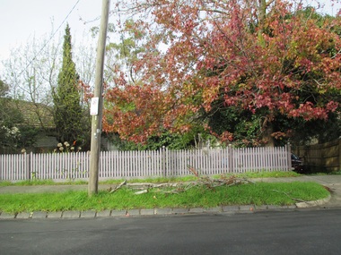 Photograph - 12 Montrose Street, Surrey Hills, The Street Where You Live Project