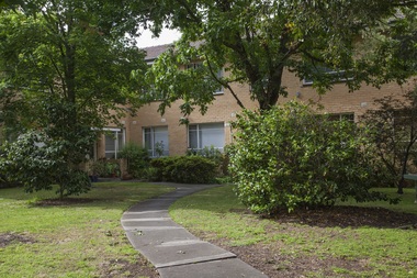 Photograph - 8 Albion Street, Surrey Hills, The Street Where You Live Project