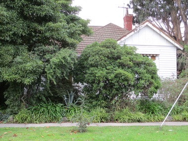 Photograph - 2 Empress Road, Surrey Hills, The Street Where You Live Project