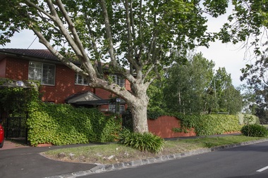 Photograph - 21 Albert Street, Surrey Hills, The Street Where You Live Project