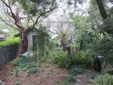 Photograph - 32 Arundel Crescent, Surrey Hills, The Street Where You Live Project