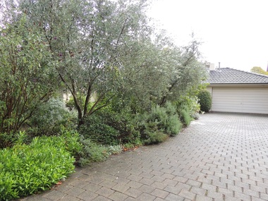 Photograph - 6 Beatty Street, Surrey Hills, The Street Where You Live Project