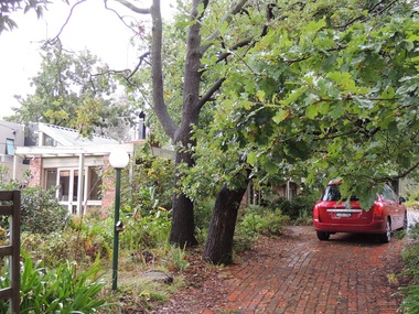 Photograph - 7 Beatty Street, Surrey Hills, The Street Where You Live Project
