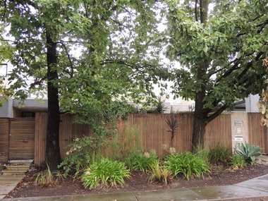 Photograph - 11 Beatty Street, Surrey Hills, The Street Where You Live Project