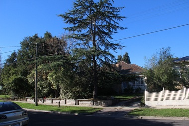 Photograph - 16 Beech Street, Surrey Hills, The Street Where You Live Project