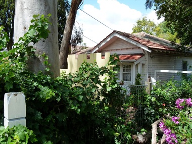 Photograph - 11 Howell Avenue, Surrey Hills, The Street Where You Live Project