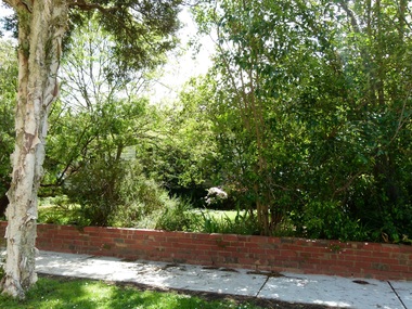 Photograph - 14 Howell Avenue, Surrey Hills, The Street Where You Live Project
