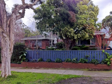 Photograph - 23 Guildford Road, Surrey Hills, The Street Where You Live Project