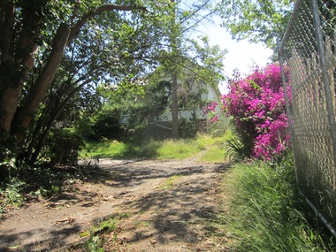 Photograph - 60 Essex Road, Surrey Hills, The Street Where You Live Project