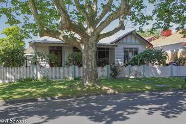 Photograph - 10 Bristol Street, Surrey Hills, The Street Where You Live Project