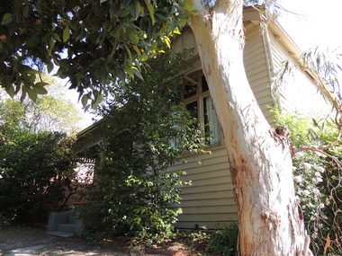 Photograph - 10 Boronia Street, Surrey Hills, The Street Where You Live Project